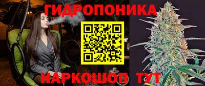 молекула духа Ярцево