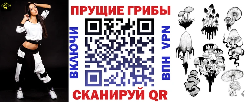 Псилоцибиновые грибы мицелий  продажа наркотиков  mega ссылки  Азнакаево 