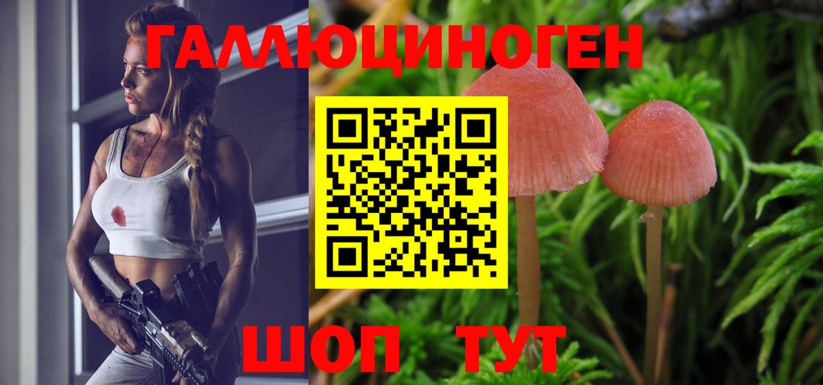 Галлюциногенные грибы мухоморы Азнакаево